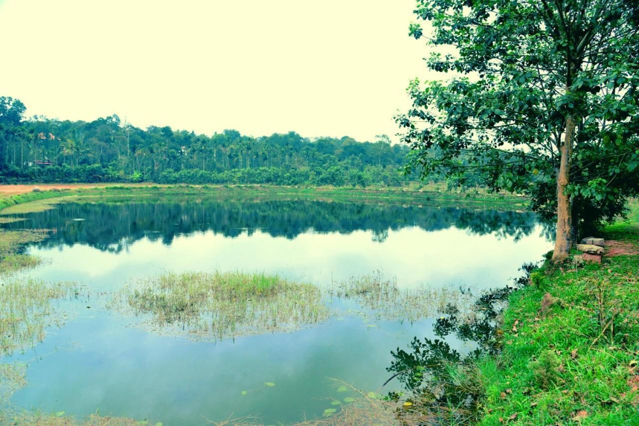Agastya Lake View Coorg Мадикери Екстериор снимка